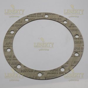 CA0321/01 - Прокладка  for boiler flange