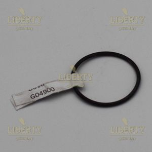 G04900 - Gasket for maver cappuccinatore