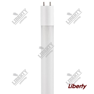 NE06.006 - Daylight lamp f6w/dd=16 l=210